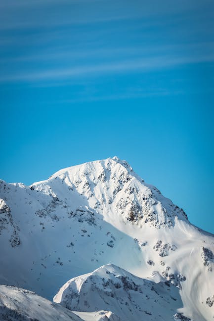 Best Duck Decoys 2025 Best Duck Decoys 2025