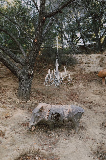 Deer hunting strategies for beginners