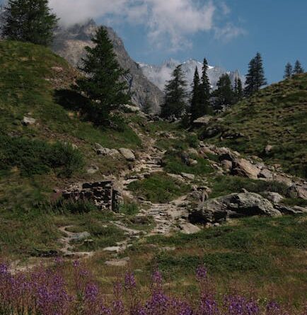 Hiking essentials for rugged terrain