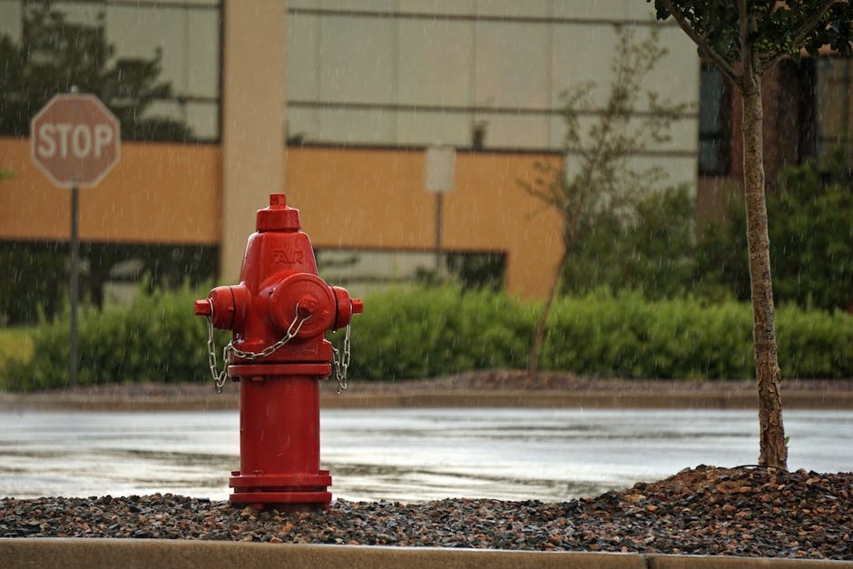 How To Start A Fire In Wet Weather How To Start A Fire In Wet Weather