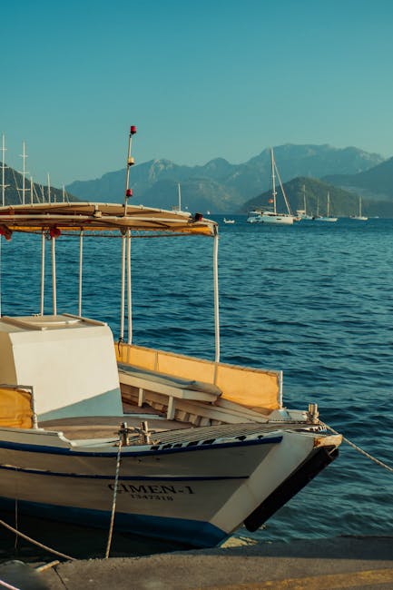 White-tailed deer standing in the woods during fall in Mendon, NY.