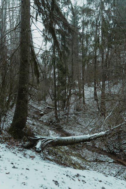 A hunter in camouflage gear stands with a dog in an expansive field, showcasing outdoor adventure.