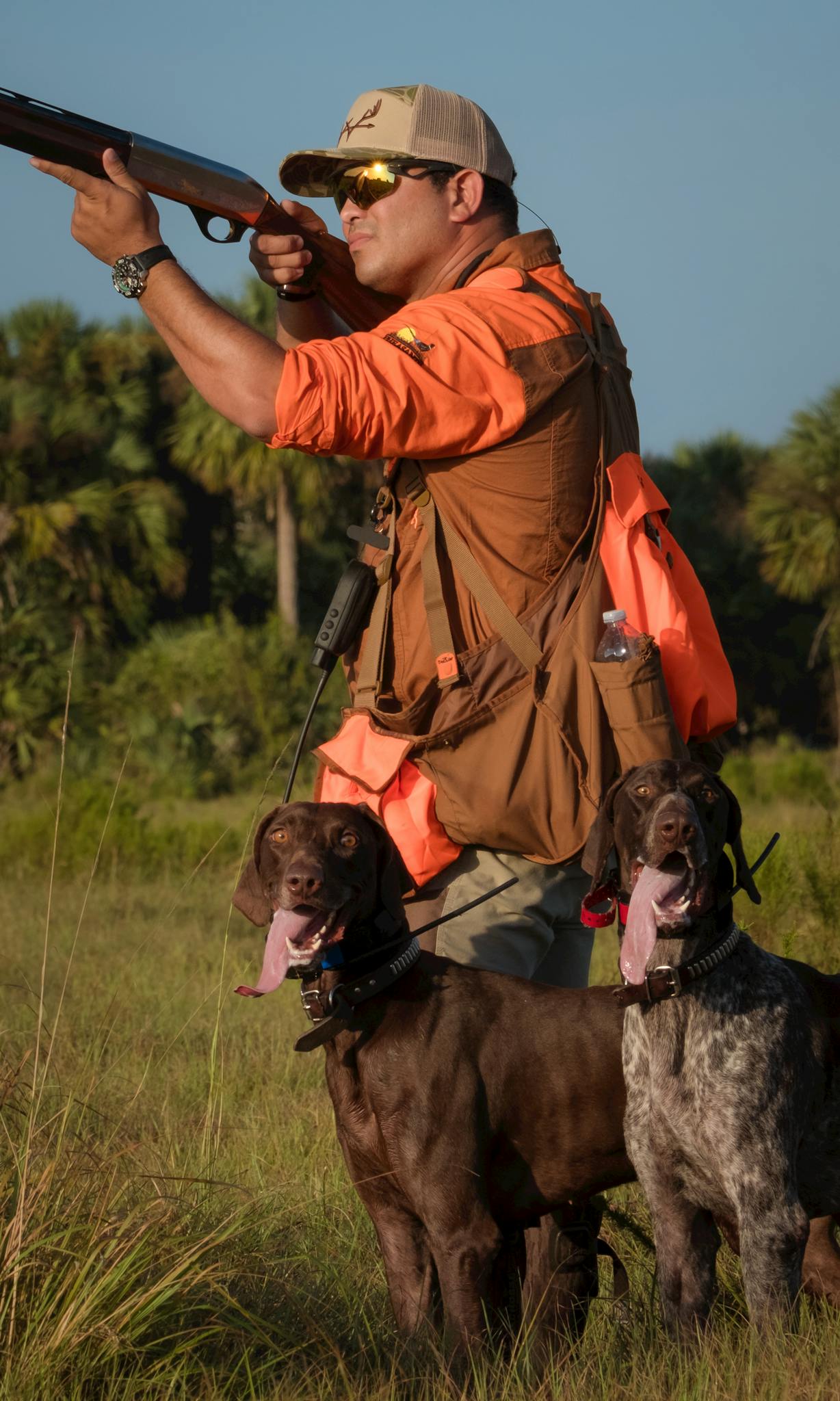 Unlocking Your Dog’s Hunting Potential: Essential Training Tips for a Successful Season