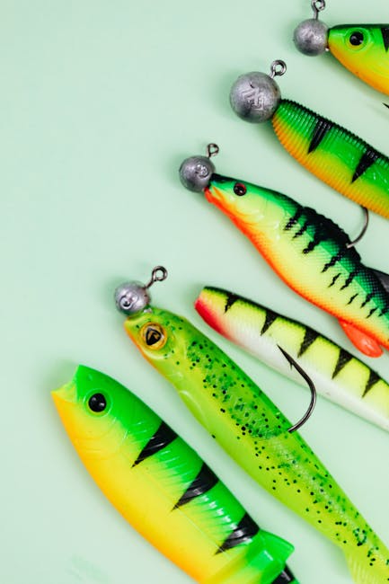 Catfish Rigs And Baits Catfish Rigs And Baits