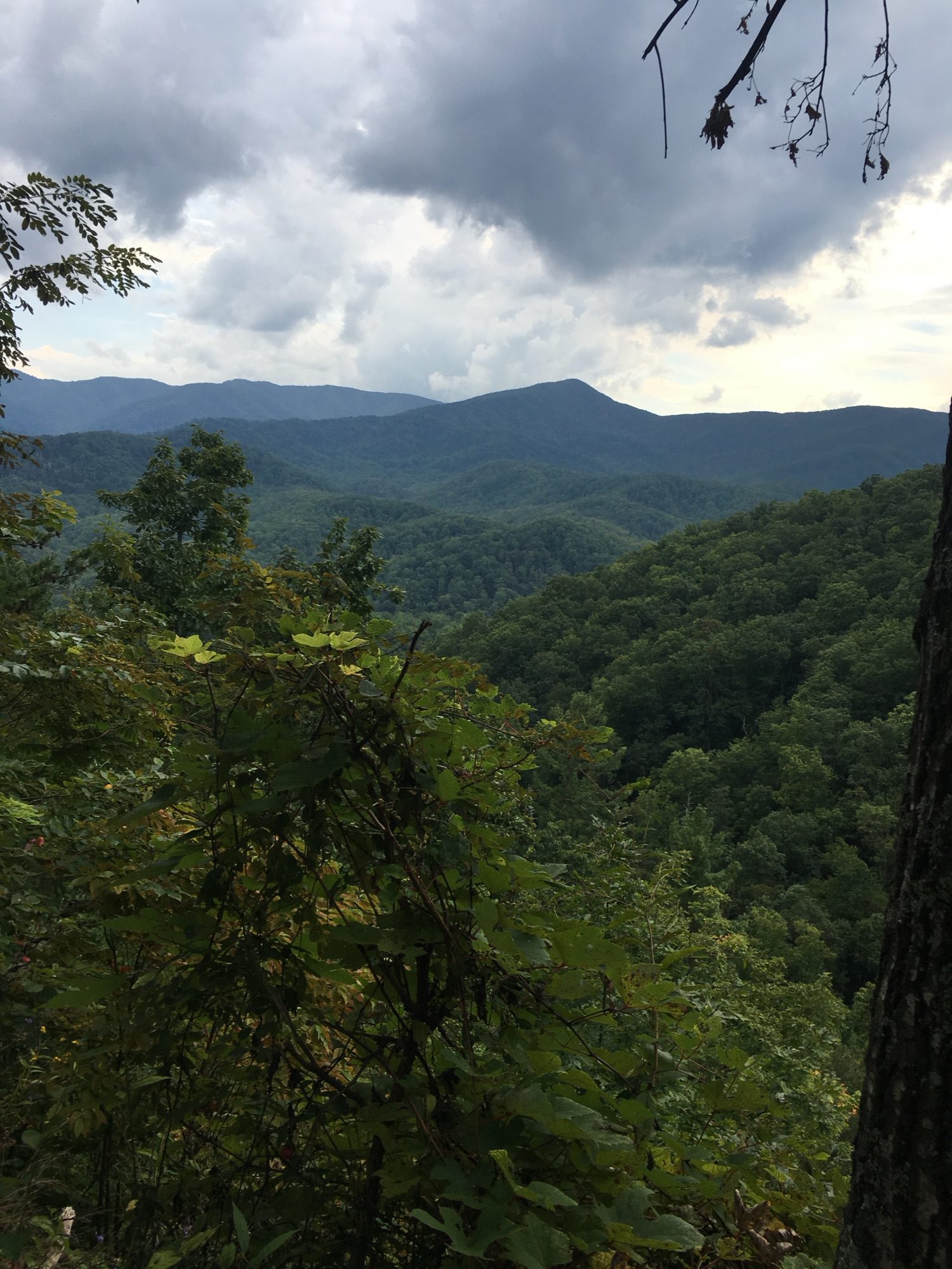 Trail survival tips for beginners